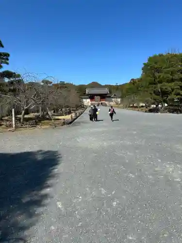 仁和寺の{uncategorized: "未分類", other: "その他", undefined: "問題あり", building: "その他建物", grave: "お墓", sacred_gate: "鳥居", guardian: "狛犬", statue: "像", buddha: "仏像", history: "歴史", nature: "自然", garden: "庭園", animal: "動物", pagoda: "塔", temizu: "手水舎", mountain_gate: "山門・神門", sanctuary: "本殿・本堂", subordinate: "末社・摂社", art: "芸術", scenery: "景色", jizo: "地蔵", ema: "絵馬", goshuin: "御朱印", omikuji: "おみくじ", items: "授与品その他", amulet: "お守り", goshuincho: "御朱印帳", eats: "食事", festival: "お祭り", votive_dance: "神楽", shichigosan: "七五三参", wedding: "結婚式", experience: "体験その他", initially: "初詣", around: "周辺", anti_infection: "感染症対策"}