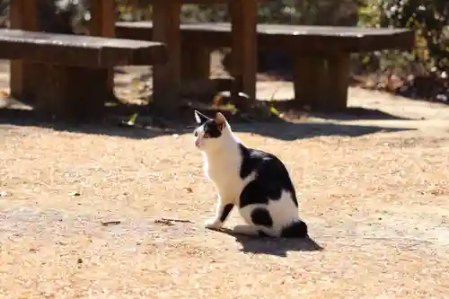 玉野御嶽神社(愛知県)