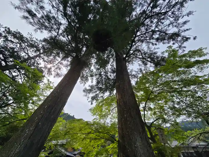 室生寺(奈良県)