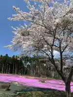 若がえり大神宮(福島県)