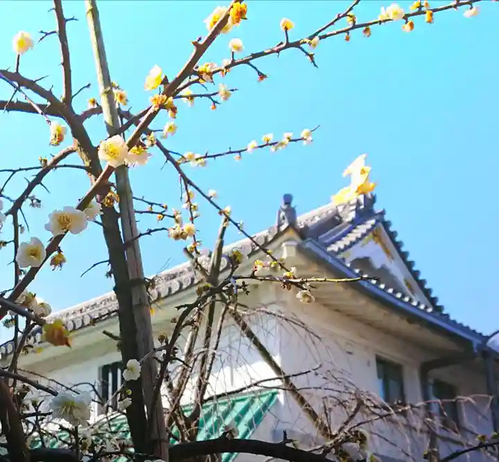 寿量山 速成寺の自然