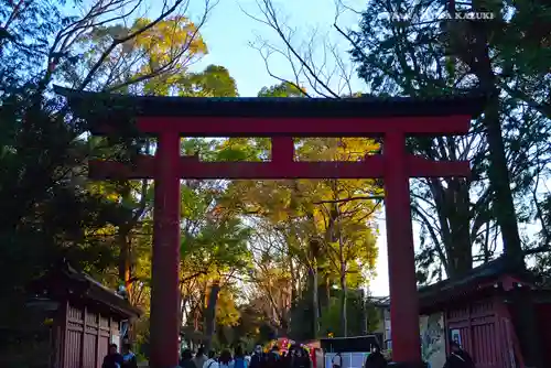 武蔵一宮氷川神社(埼玉県)
