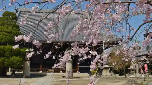 妙顯寺（妙顕寺）の本殿