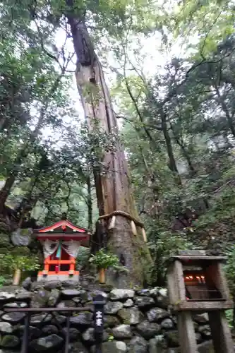 鞍馬寺の自然