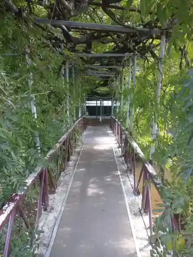 西寒多神社の自然