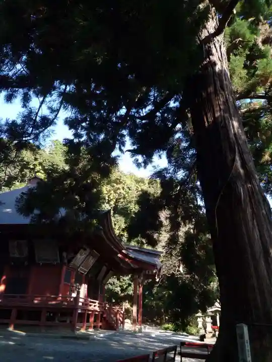 宝樹院小山寺の本殿・本堂