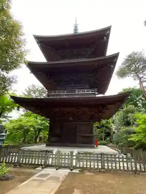 豪徳寺のその他建物