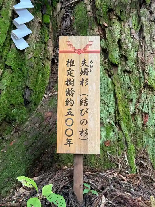 戸隠神社火之御子社(長野県)