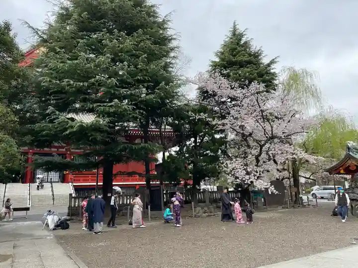 浅草神社(東京都)