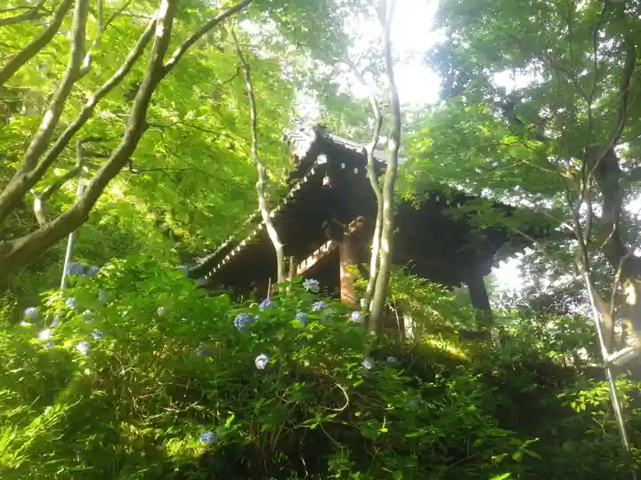 妙本寺のその他建物