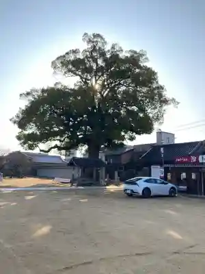長尾寺の{uncategorized: "未分類", other: "その他", undefined: "問題あり", building: "その他建物", grave: "お墓", sacred_gate: "鳥居", guardian: "狛犬", statue: "像", buddha: "仏像", history: "歴史", nature: "自然", garden: "庭園", animal: "動物", pagoda: "塔", temizu: "手水舎", mountain_gate: "山門・神門", sanctuary: "本殿・本堂", subordinate: "末社・摂社", art: "芸術", scenery: "景色", jizo: "地蔵", ema: "絵馬", goshuin: "御朱印", omikuji: "おみくじ", items: "授与品その他", amulet: "お守り", goshuincho: "御朱印帳", eats: "食事", festival: "お祭り", votive_dance: "神楽", shichigosan: "七五三参", wedding: "結婚式", experience: "体験その他", initially: "初詣", around: "周辺", anti_infection: "感染症対策"}