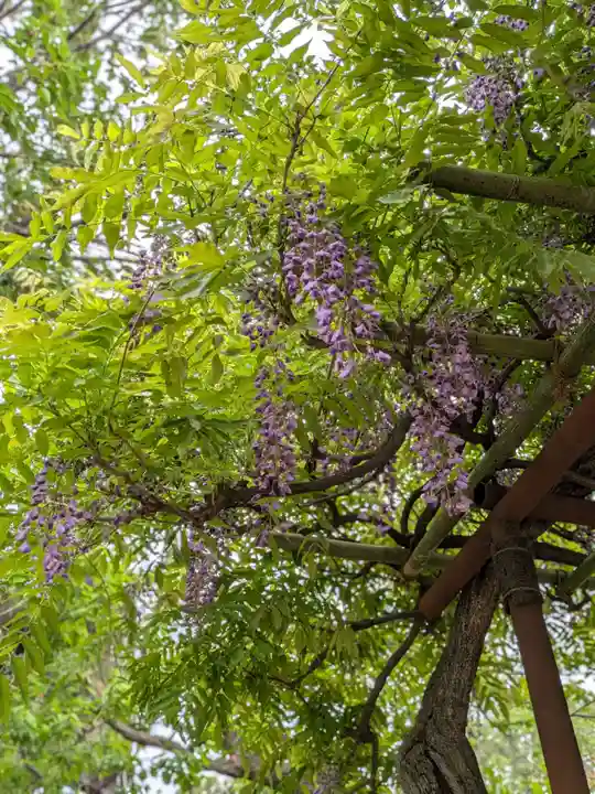 圓照寺(東京都)