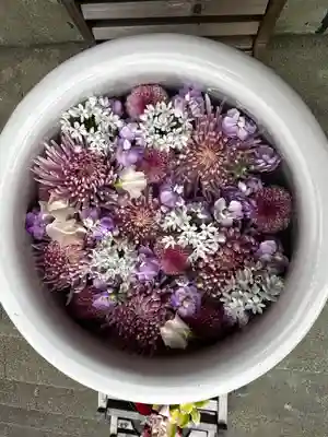 徳島眉山天神社(徳島県)
