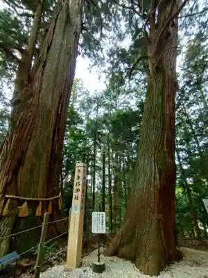 鷲子山上神社(茨城県)