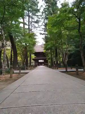 平林寺(埼玉県)