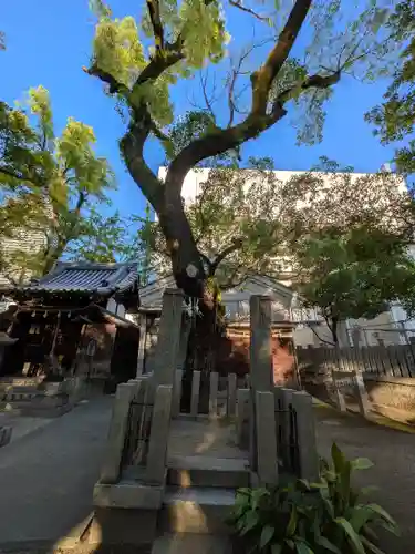 素盞烏尊神社(大阪府)