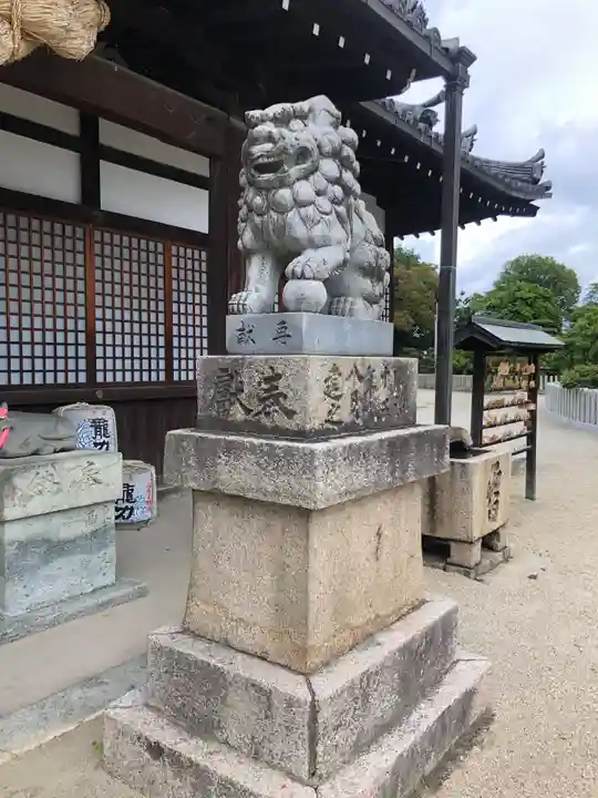 曽根天満宮の狛犬
