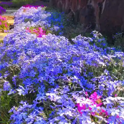寿量山 速成寺(奈良県)