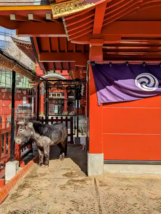 神田神社(神田明神)の動物
