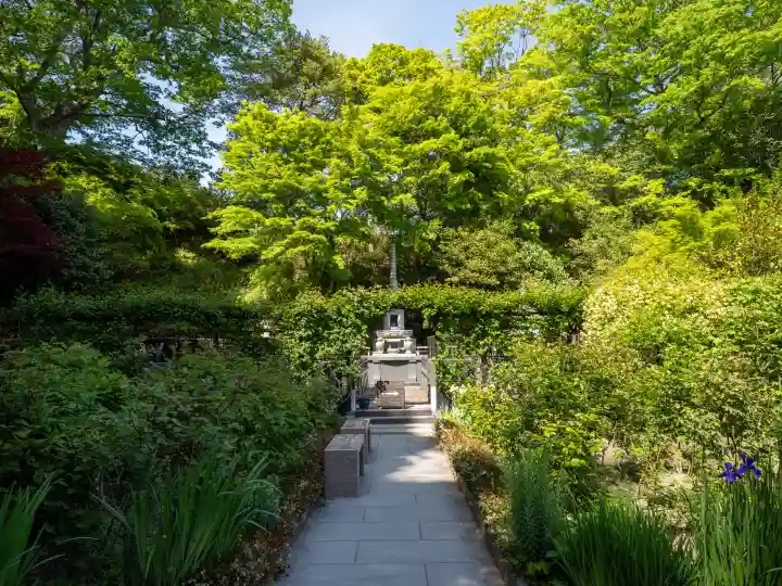 円通院の{uncategorized: "未分類", other: "その他", undefined: "問題あり", building: "その他建物", grave: "お墓", sacred_gate: "鳥居", guardian: "狛犬", statue: "像", buddha: "仏像", history: "歴史", nature: "自然", garden: "庭園", animal: "動物", pagoda: "塔", temizu: "手水舎", mountain_gate: "山門・神門", sanctuary: "本殿・本堂", subordinate: "末社・摂社", art: "芸術", scenery: "景色", jizo: "地蔵", ema: "絵馬", goshuin: "御朱印", omikuji: "おみくじ", items: "授与品その他", amulet: "お守り", goshuincho: "御朱印帳", eats: "食事", festival: "お祭り", votive_dance: "神楽", shichigosan: "七五三参", wedding: "結婚式", experience: "体験その他", initially: "初詣", around: "周辺", anti_infection: "感染症対策"}