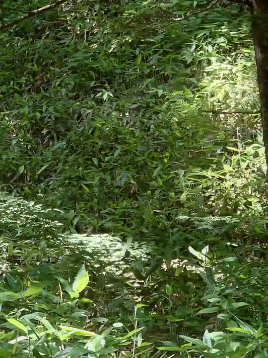 穂高神社奥宮(長野県)