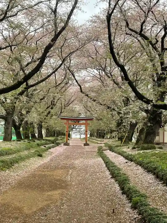 東蕗田天満社の{uncategorized: "未分類", other: "その他", undefined: "問題あり", building: "その他建物", grave: "お墓", sacred_gate: "鳥居", guardian: "狛犬", statue: "像", buddha: "仏像", history: "歴史", nature: "自然", garden: "庭園", animal: "動物", pagoda: "塔", temizu: "手水舎", mountain_gate: "山門・神門", sanctuary: "本殿・本堂", subordinate: "末社・摂社", art: "芸術", scenery: "景色", jizo: "地蔵", ema: "絵馬", goshuin: "御朱印", omikuji: "おみくじ", items: "授与品その他", amulet: "お守り", goshuincho: "御朱印帳", eats: "食事", festival: "お祭り", votive_dance: "神楽", shichigosan: "七五三参", wedding: "結婚式", experience: "体験その他", initially: "初詣", around: "周辺", anti_infection: "感染症対策"}