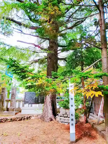 琴似神社の自然