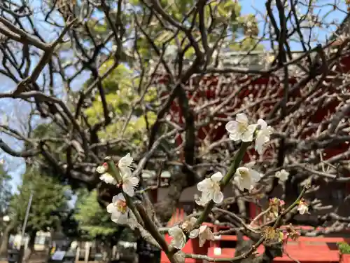 村富神社の自然