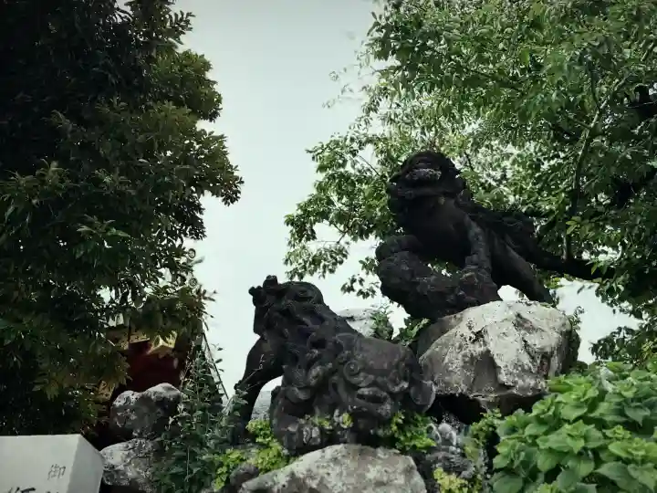 神田神社(神田明神)の狛犬