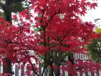 總社 和田八幡宮(福井県)