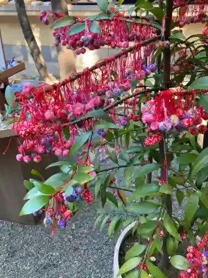 赤坂氷川神社(東京都)