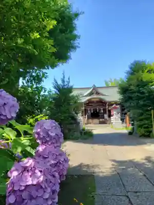 鷺宮八幡神社(東京都)
