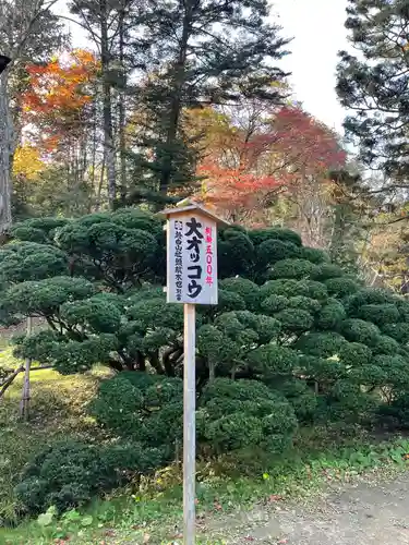 達谷西光寺の自然