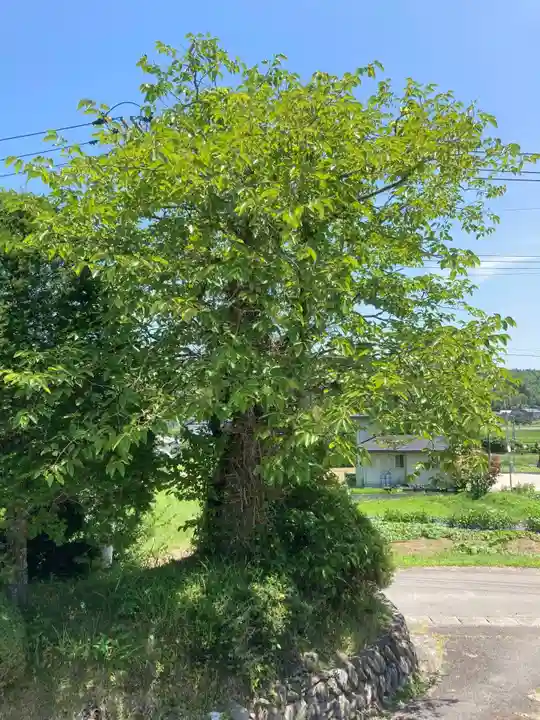 熊野神社の自然