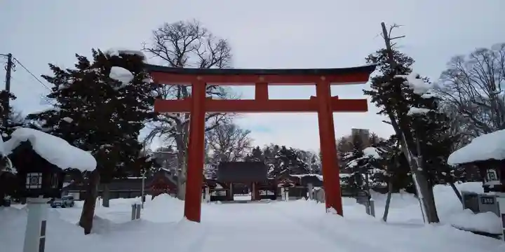 北海道護國神社の鳥居