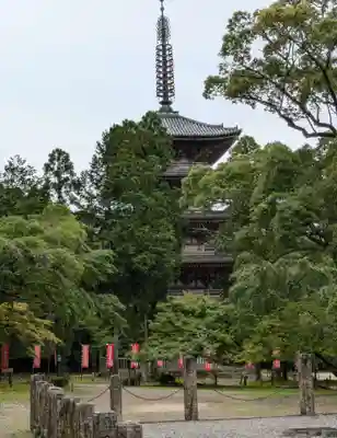 醍醐寺(京都府)