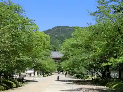醍醐寺のその他建物