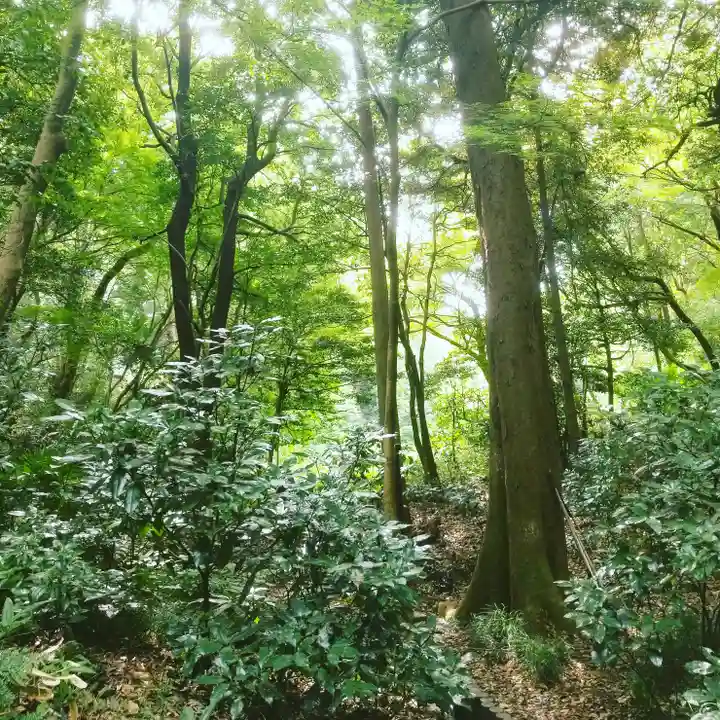 明治神宮の自然