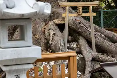 和泉國一之宮　大鳥大社のその他建物