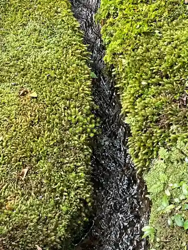 西芳寺(京都府)