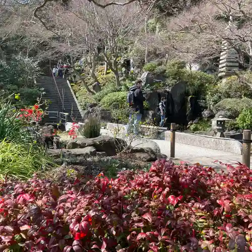 長谷寺(神奈川県)