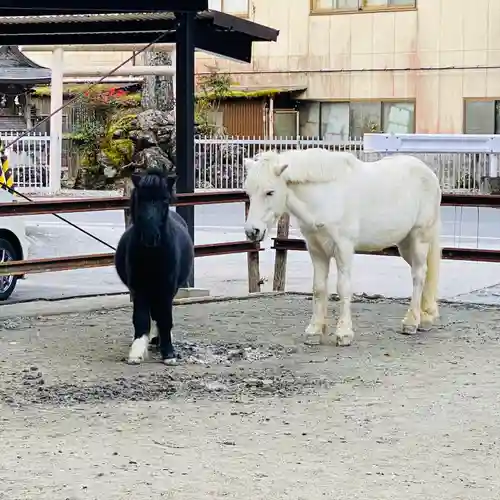 丹生川上神社（下社）(奈良県)
