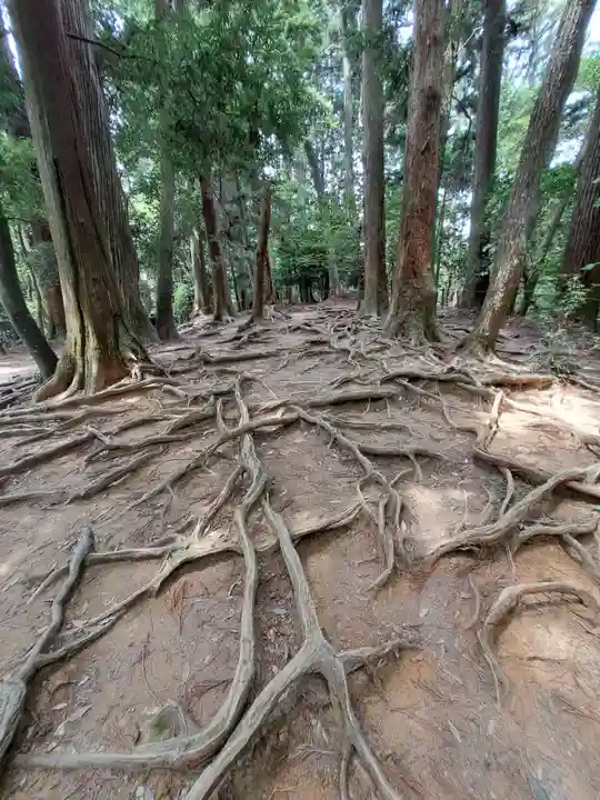 鞍馬寺(京都府)