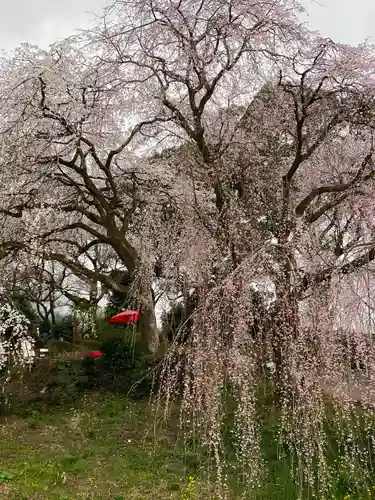 本佛寺別院　法華原の庭園