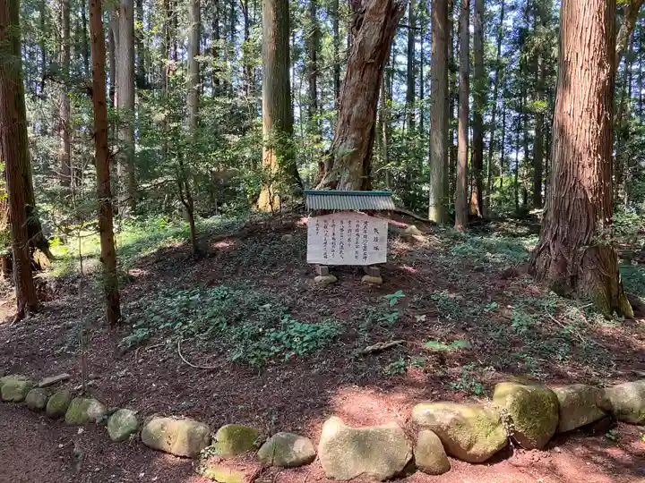 涼ケ岡八幡神社の歴史