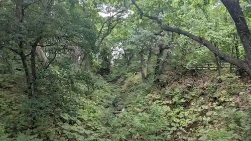音更神社の自然