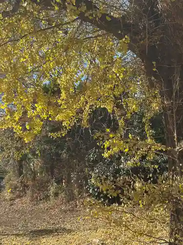 三芳野神社(埼玉県)