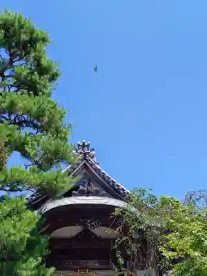 火産霊神社(新潟県)