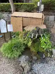 瀧宮神社(埼玉県)