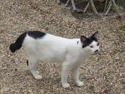 浄瑠璃寺(京都府)